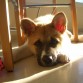Nora tomando el sol
